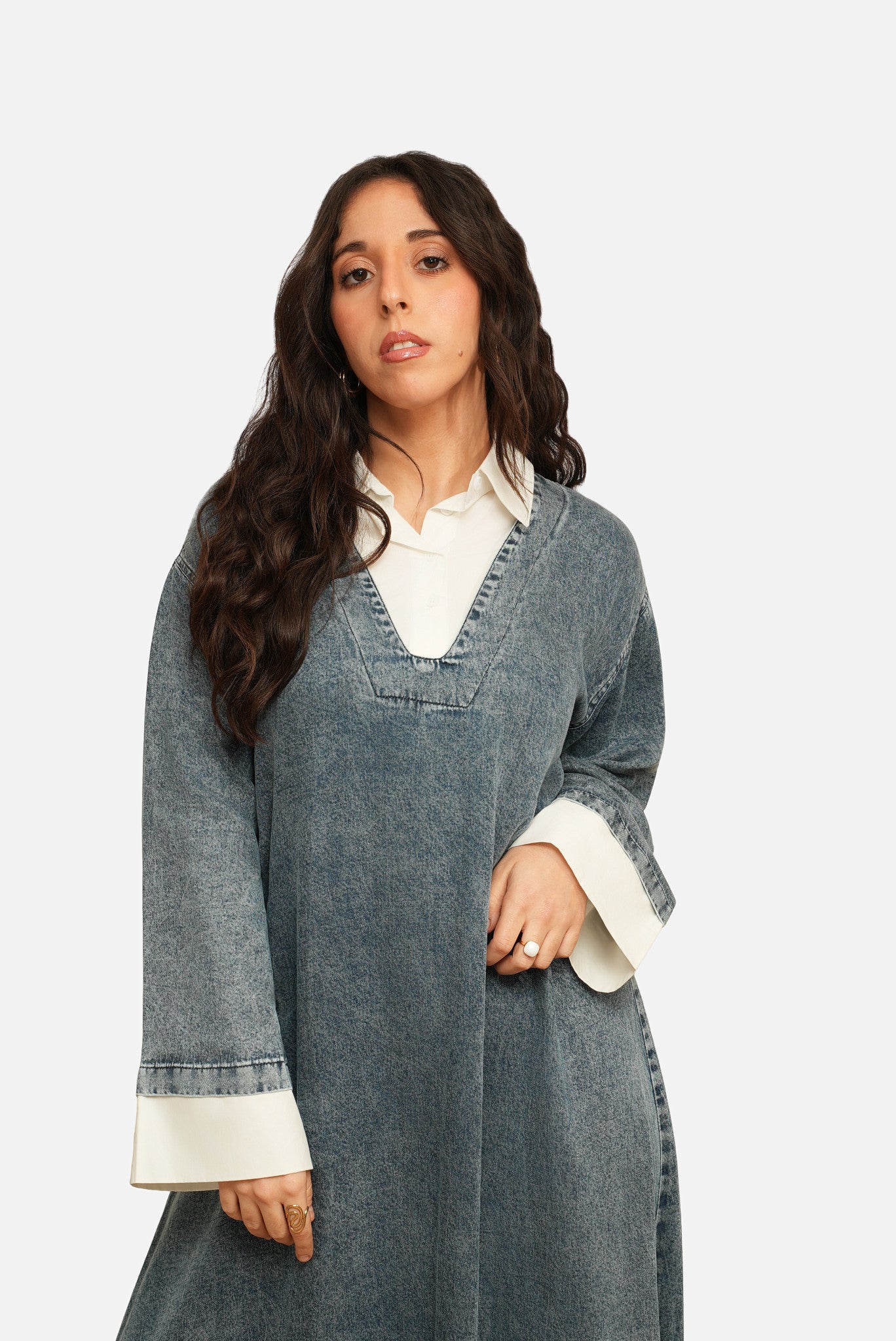 Arielle Denim Dress